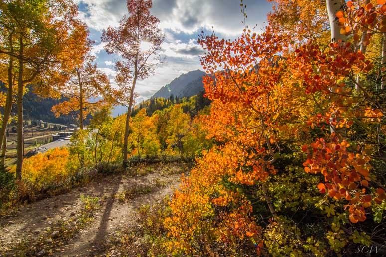 FRIENDS OF ALTA INC cover