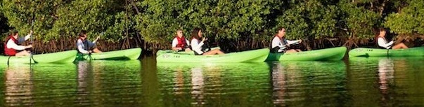 Friends of MacArthur Beach State Park, Inc.