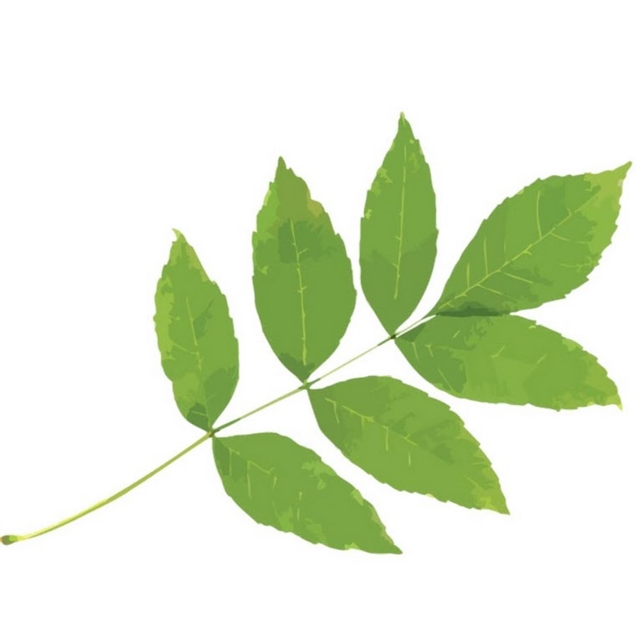 Neuropathy Alliance of Texas