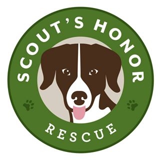 Scout's Honor Rescue