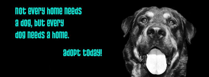 Scout's Honor Rescue