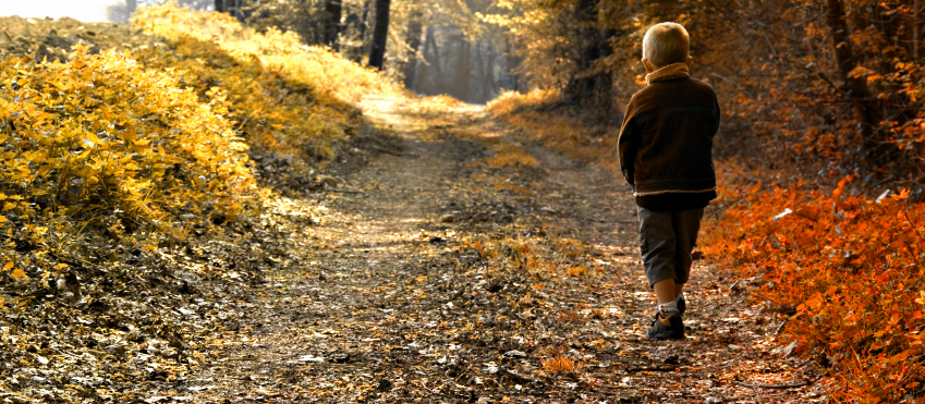 Morrison Child and Family Services