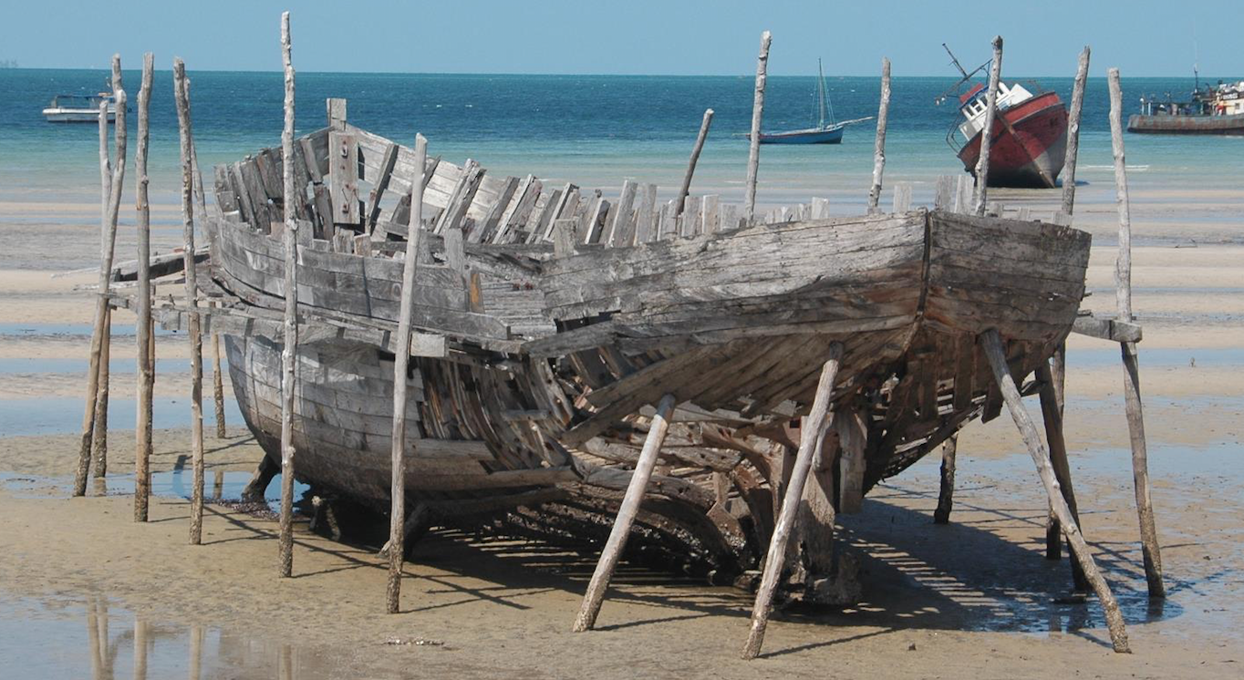 Advanced Conservation Strategies