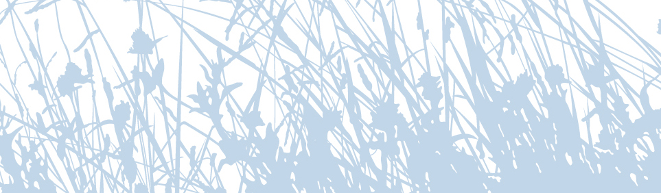 Bluestem Housing Partners, NPF