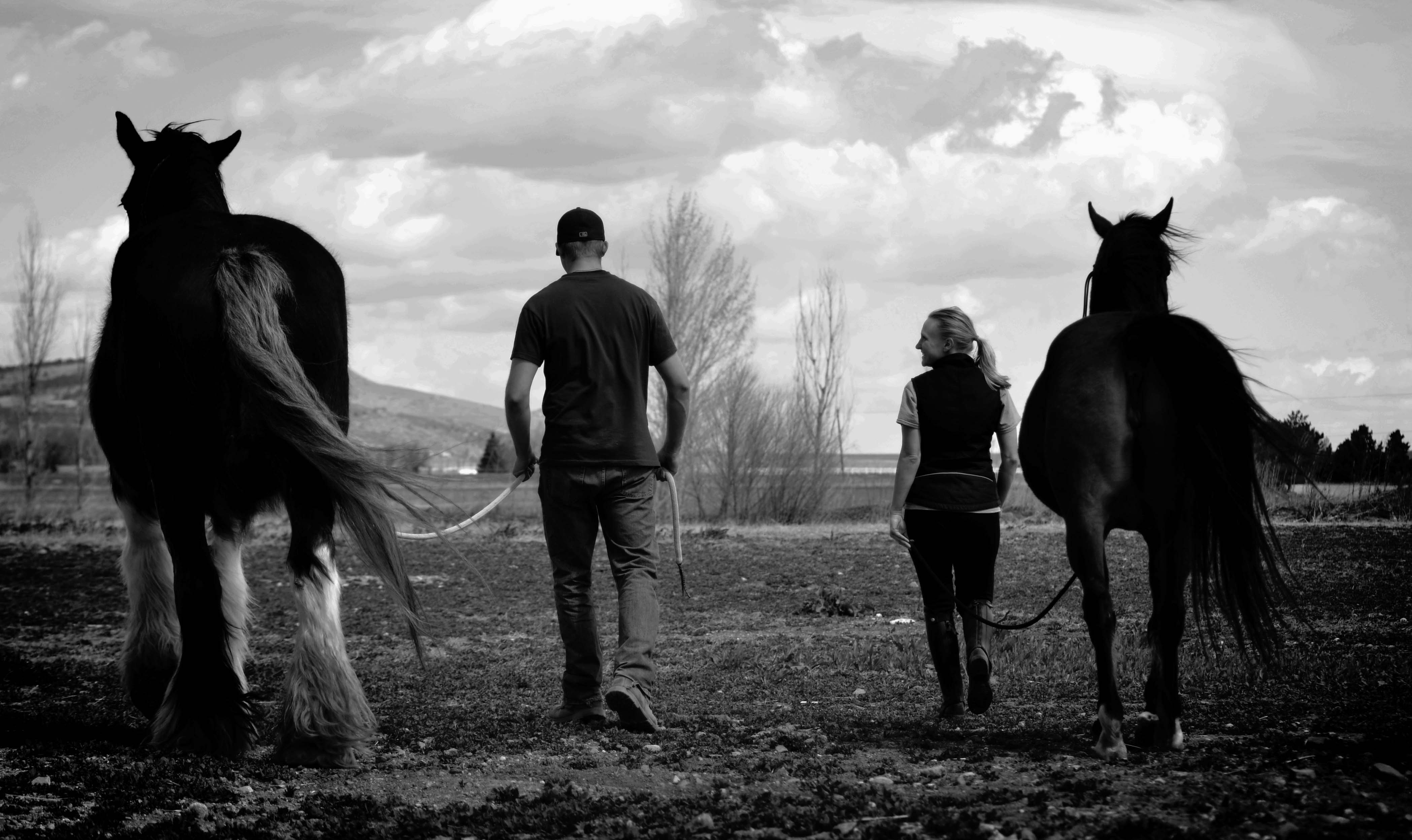 Colorado Horse Rescue
