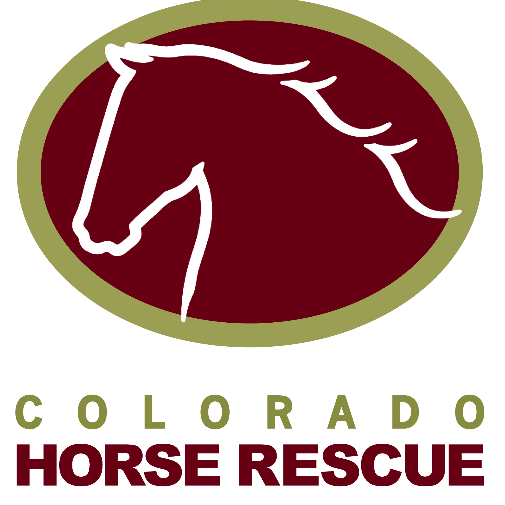 Colorado Horse Rescue