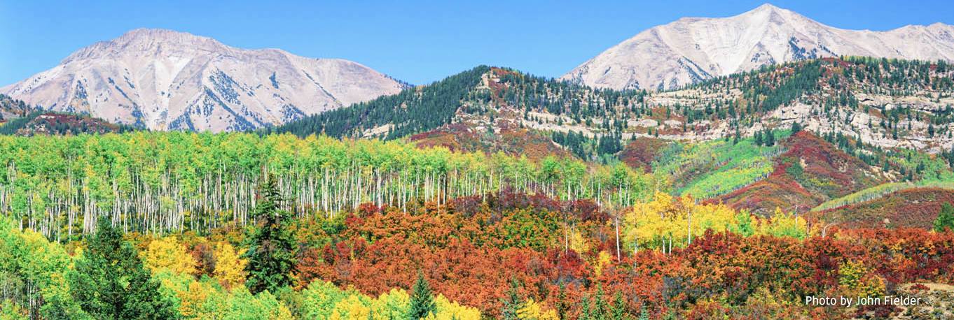 Conservation Colorado