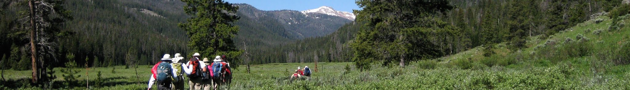 Montana Wilderness Association