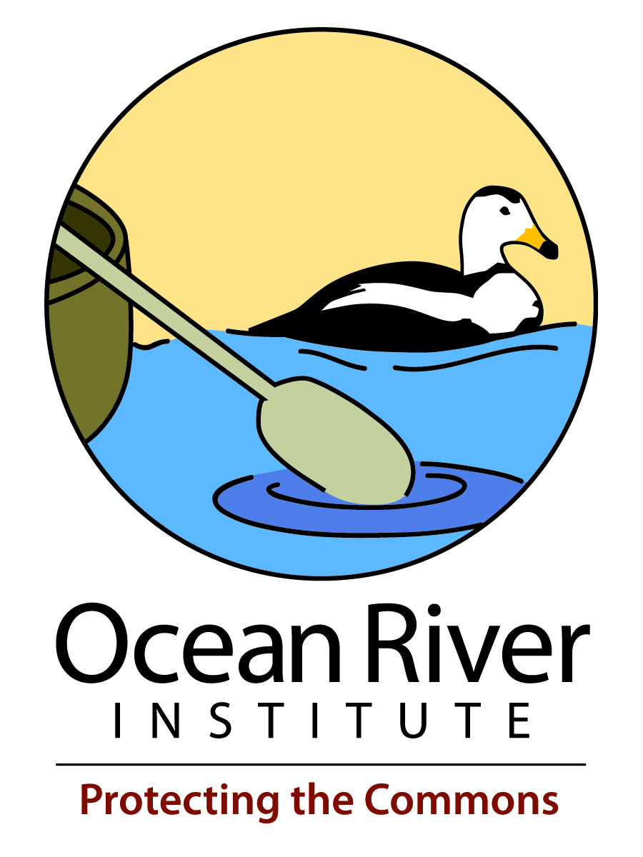 Ocean River Institute