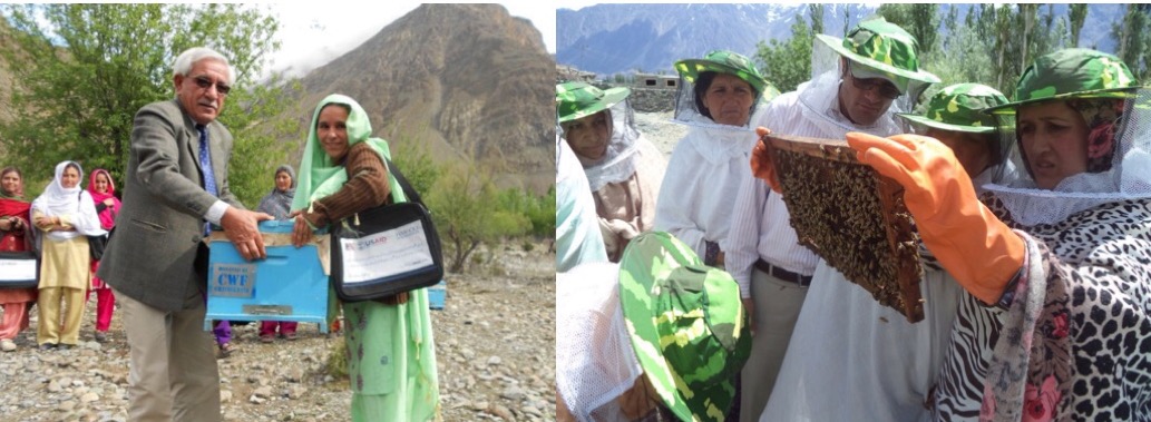 Hashoo Foundation USA