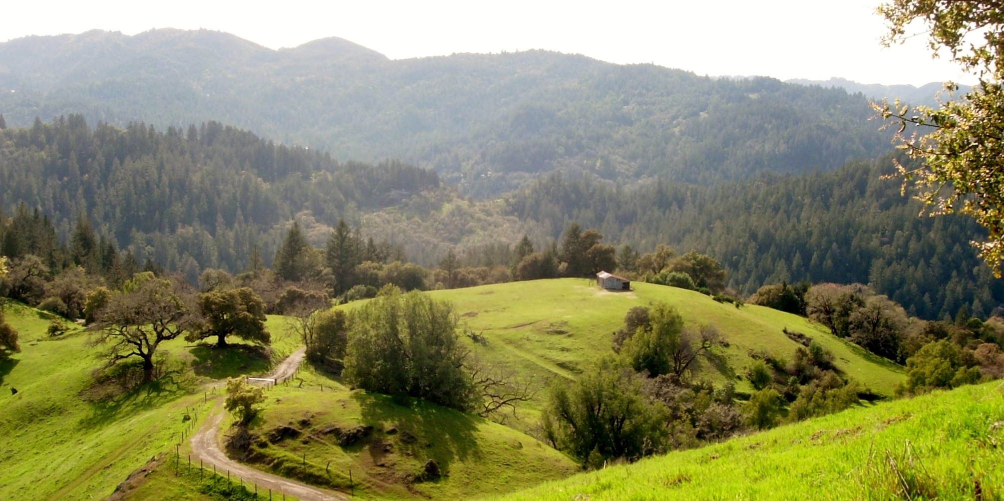 WILDWOOD CONSERVATION FOUNDATION