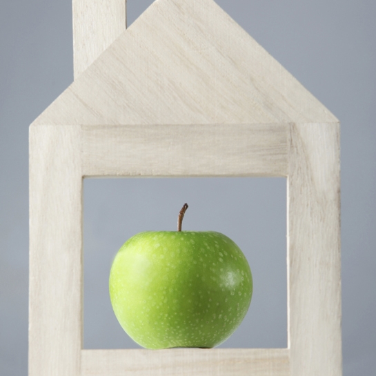 INTERNATIONAL INSTITUTE FOR BUILDING-BIOLOGYÂ® & ECOLOGY