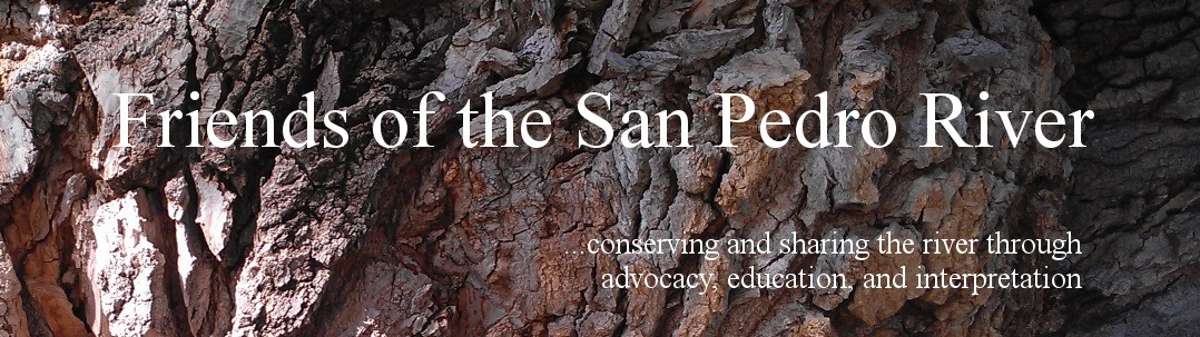 FRIENDS OF THE SAN PEDRO RIVER INC