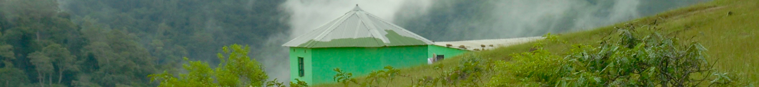 Arm In Arm In Africa