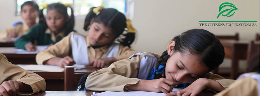 The Citizens Foundation-USA cover