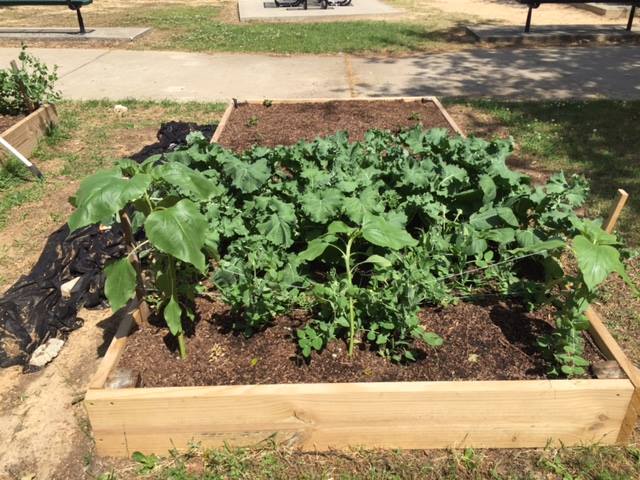 Harvest Hope Food Bank