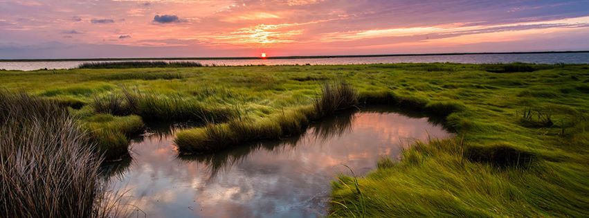 Chesapeake Bay Foundation, Inc.