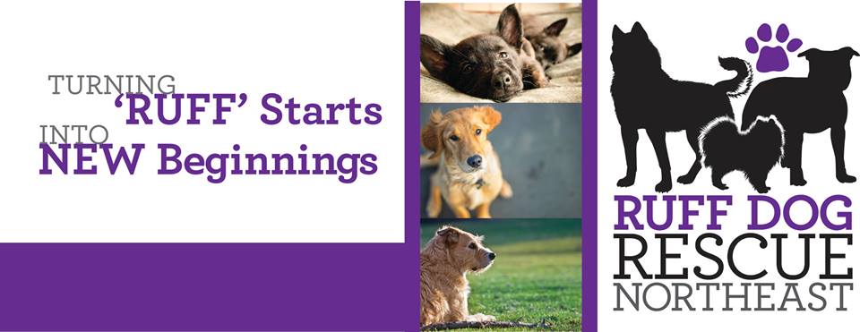 Ruff Dog Rescue North East