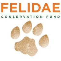 FELIDAE CONSERVATION FUND