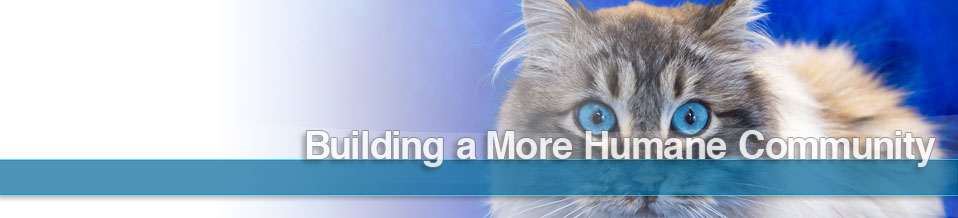 SCRAPS HOPE FOUNDATION