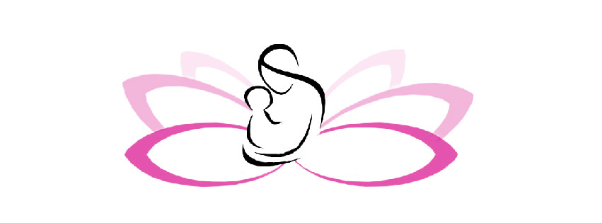 DOMESTIC VIOLENCE AND ABUSE CENTER INC