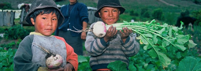 Heifer International