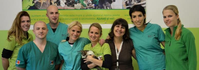 ROMANIA ANIMAL RESCUE INC DBA ANIMAL SPAY NEUTER INTL cover