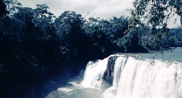 Needful Provision, Inc.