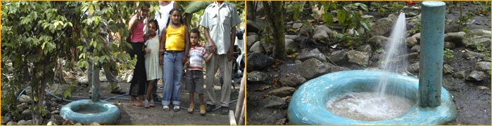 HE R MAN D A D INC cover