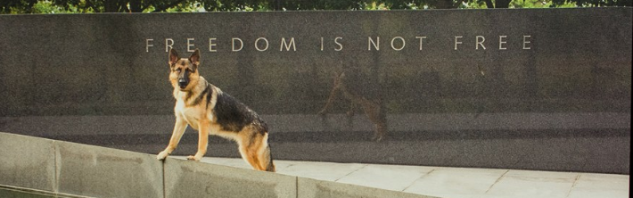 COMBAT WOUNDED COALITION/WOUNDED WEAR, INC.