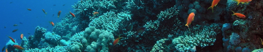 North American Marine Environment Protection Association