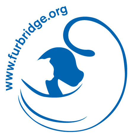 Furbridge, Inc.