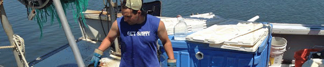 Northwest Atlantic Marine Alliance, Inc.