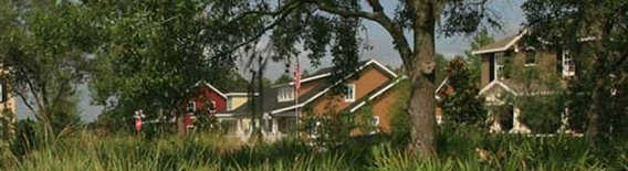 FLORIDA GREEN BUILDING COALITION INC cover