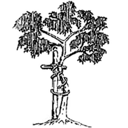 BAYSIDE MEDICAL MISSIONS AND EDUCATIONAL OUTREACH INC ( BMM )