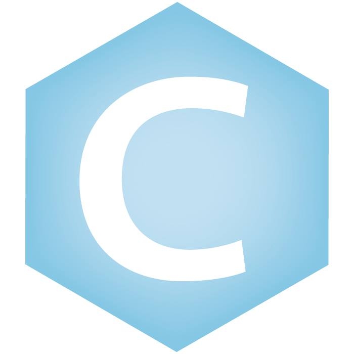 CHAMPIONS IN ACTION INC