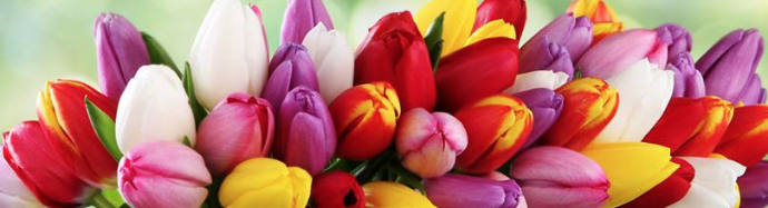 RESPONSE: HELP FOR SURVIVORS OF DOMESTIC VIOLENCE AND SEXUAL ASSUALT