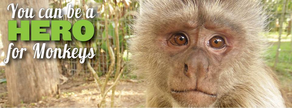 JUNGLE FRIENDS PRIMATE SANCTUARY INC