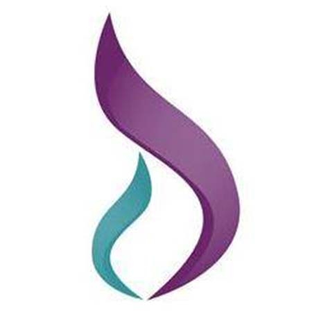 DOMESTIC VIOLENCE COUNCIL