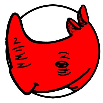 Red Rhino Orphanage Project