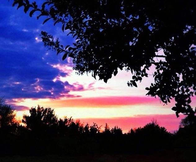 Amputee Coalition of America, Inc.