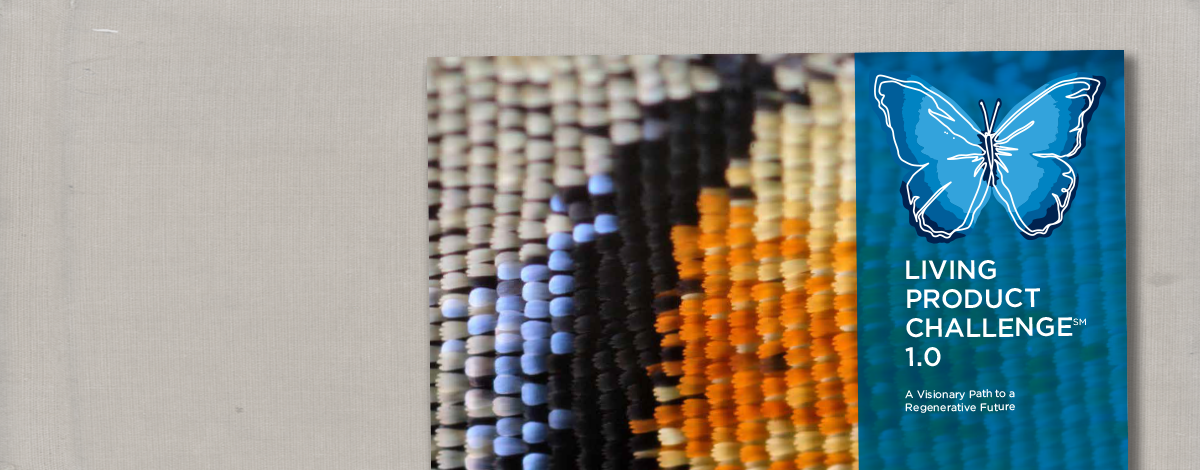 INTERNATIONAL LIVING FUTURE INSTITUTE