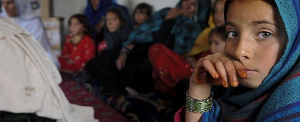 OMID FOUNDATION USA cover