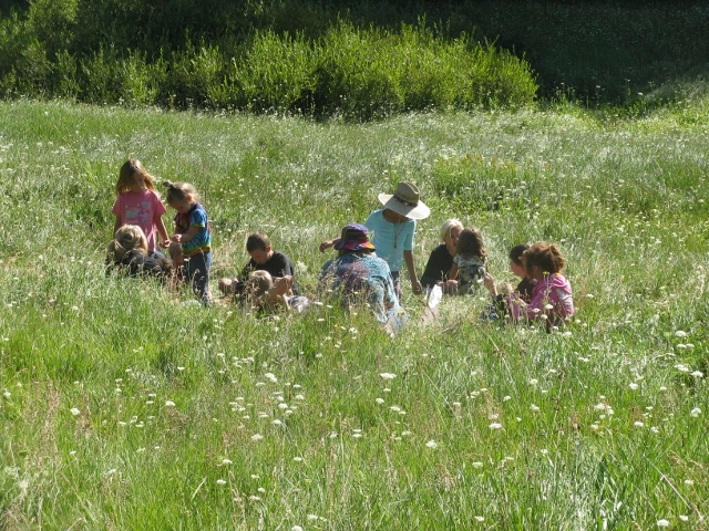 SEQUOIA FORESTKEEPER