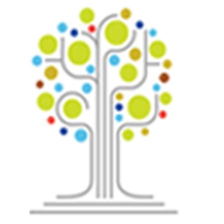 New American Pathways