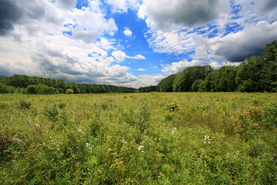 Great Swamp Watershed Association