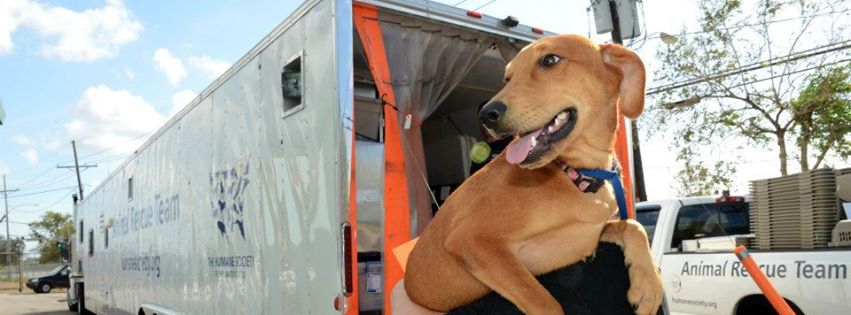 Humane Society of The United States