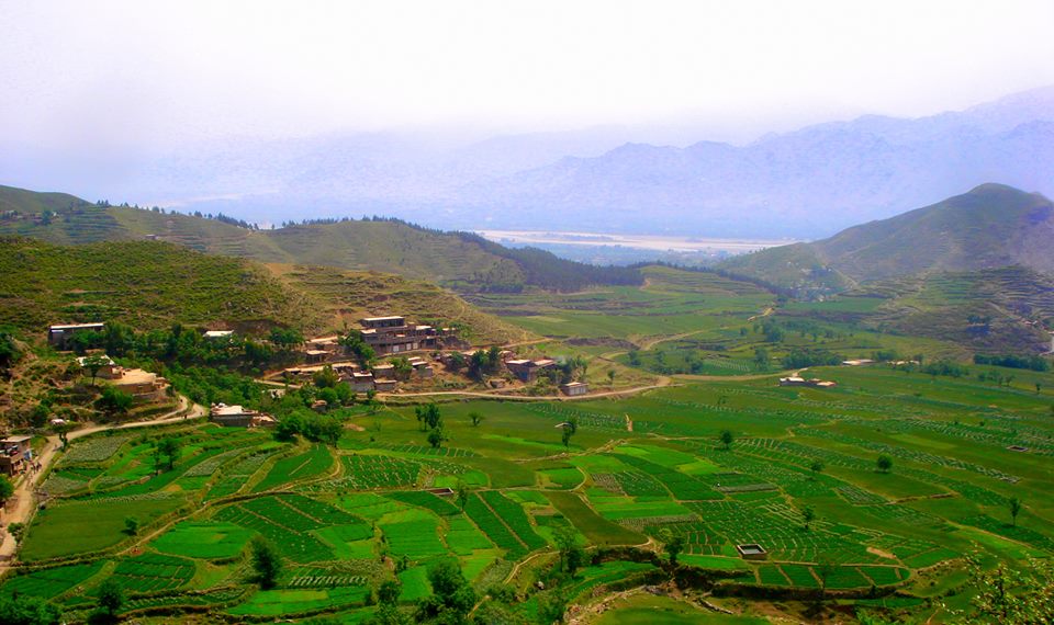 The American Pakistan Foundation cover