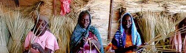 Rising International cover