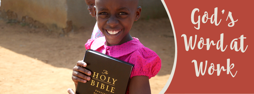 The Rafiki Foundation, Inc.